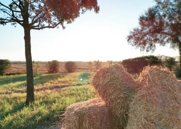 Πανδοχείο Acervum Τσέρβια